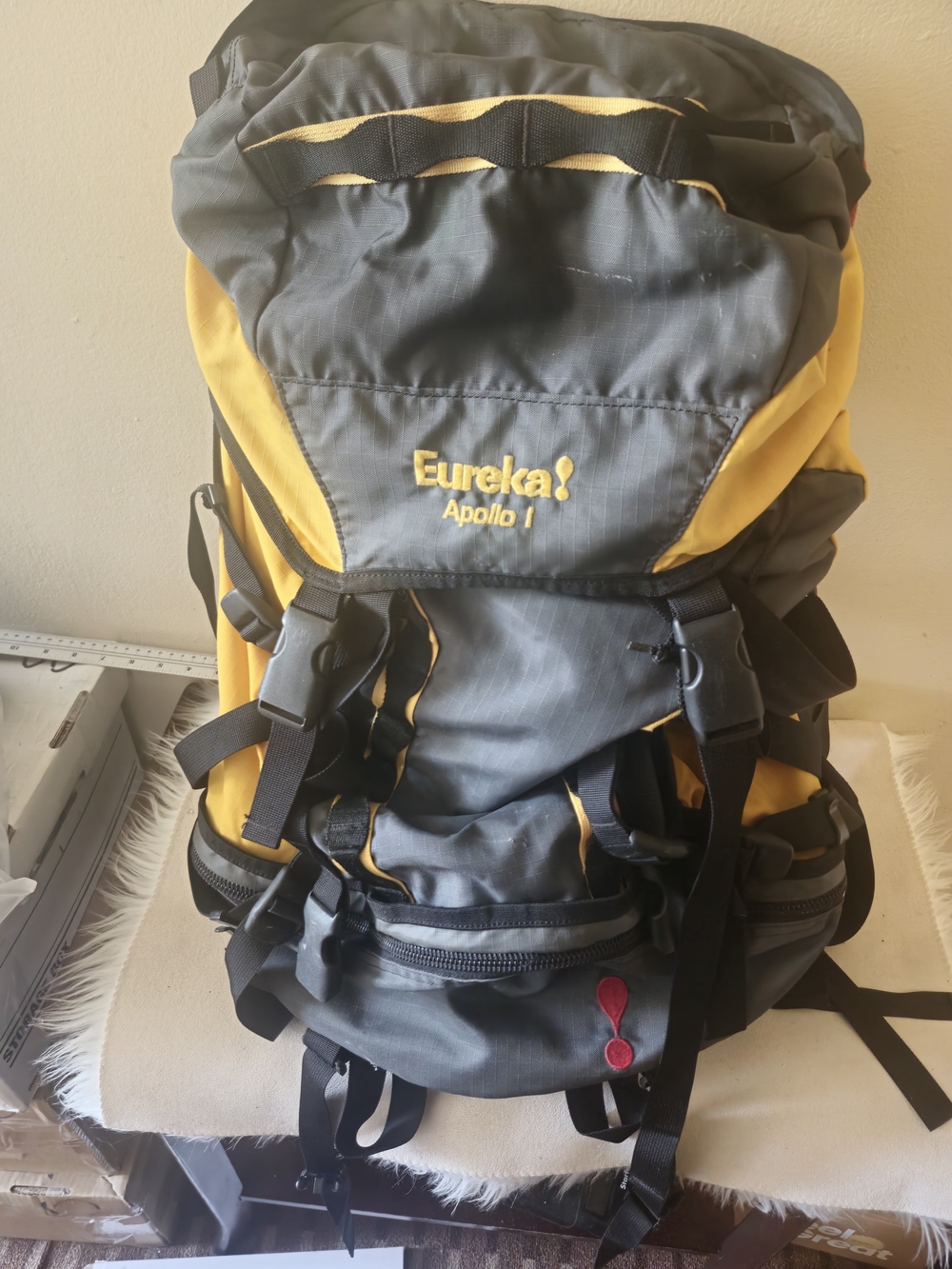 Apollo I  Eureka Gray & Yellow Hiking Backpack - Men's